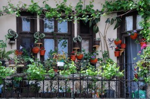 Read more about the article Top 20 Brilliant Balcony Gardens To check Out