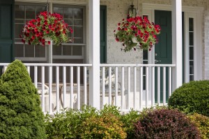 Read more about the article The Best Hanging Baskets Ideas