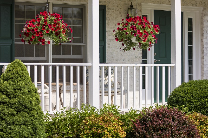 You are currently viewing The Best Hanging Baskets Ideas