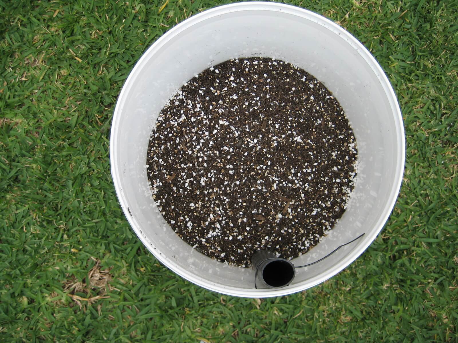 Read more about the article Potting Mix for Self-Watering Buckets